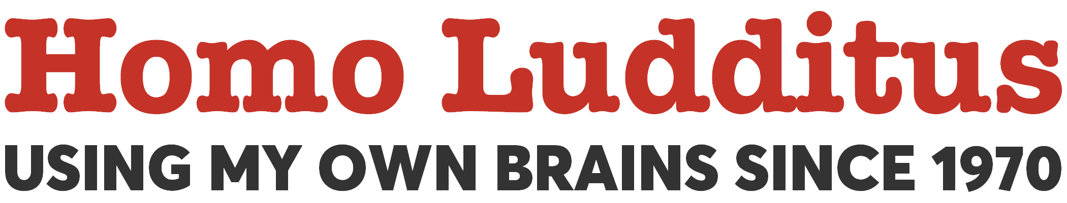 Homo Ludditus