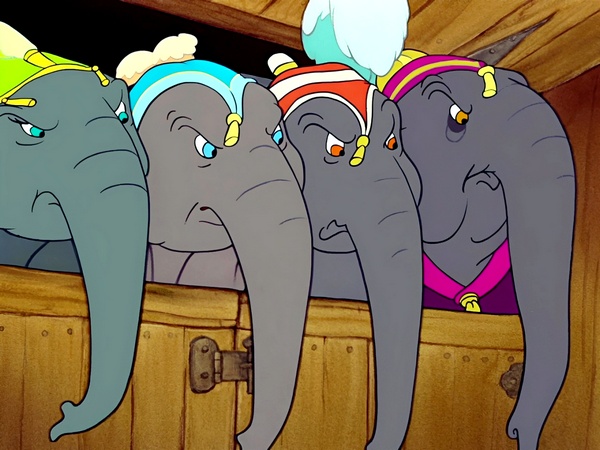 How I chose to become Dumbo Post